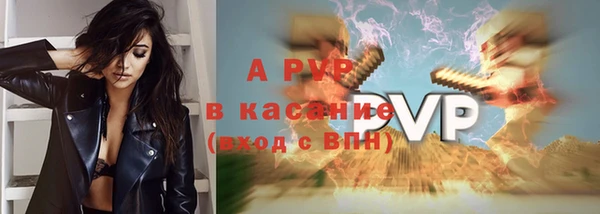 индика Балахна