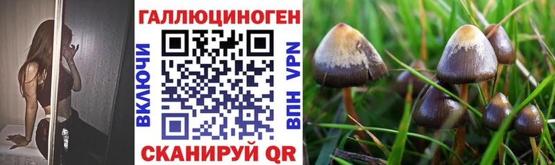 Галлюциногенные грибы прущие грибы  Купить  Новоульяновск 